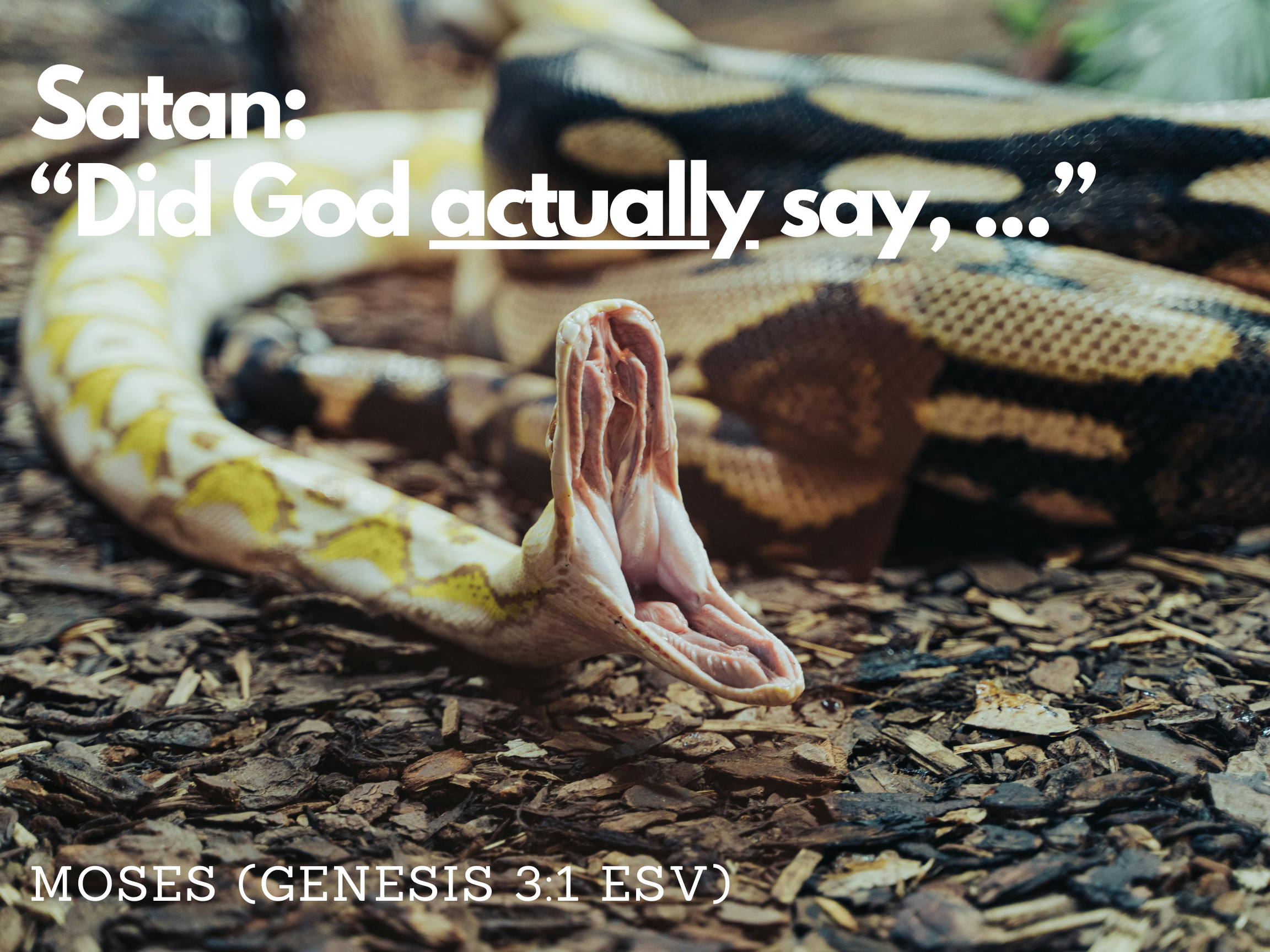 R122 christian canvas art - crafty serpent