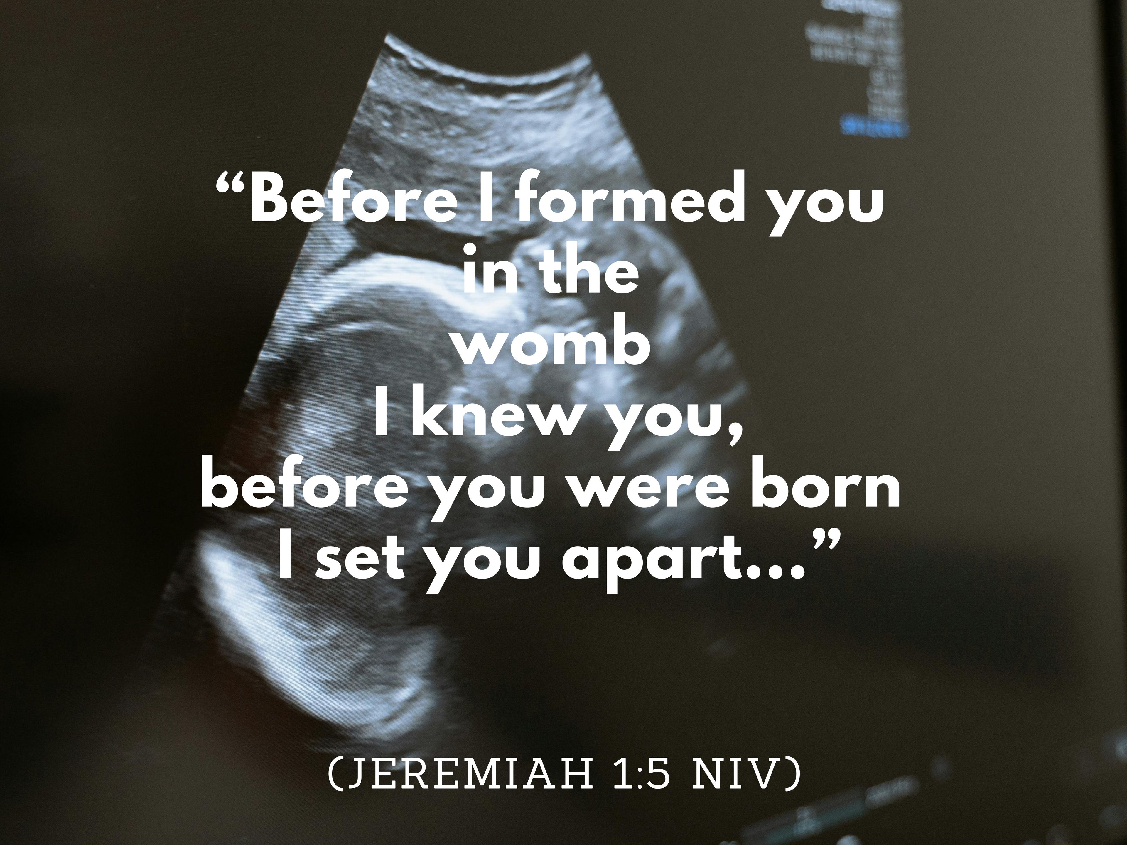 Created for a Purpose - Official R122