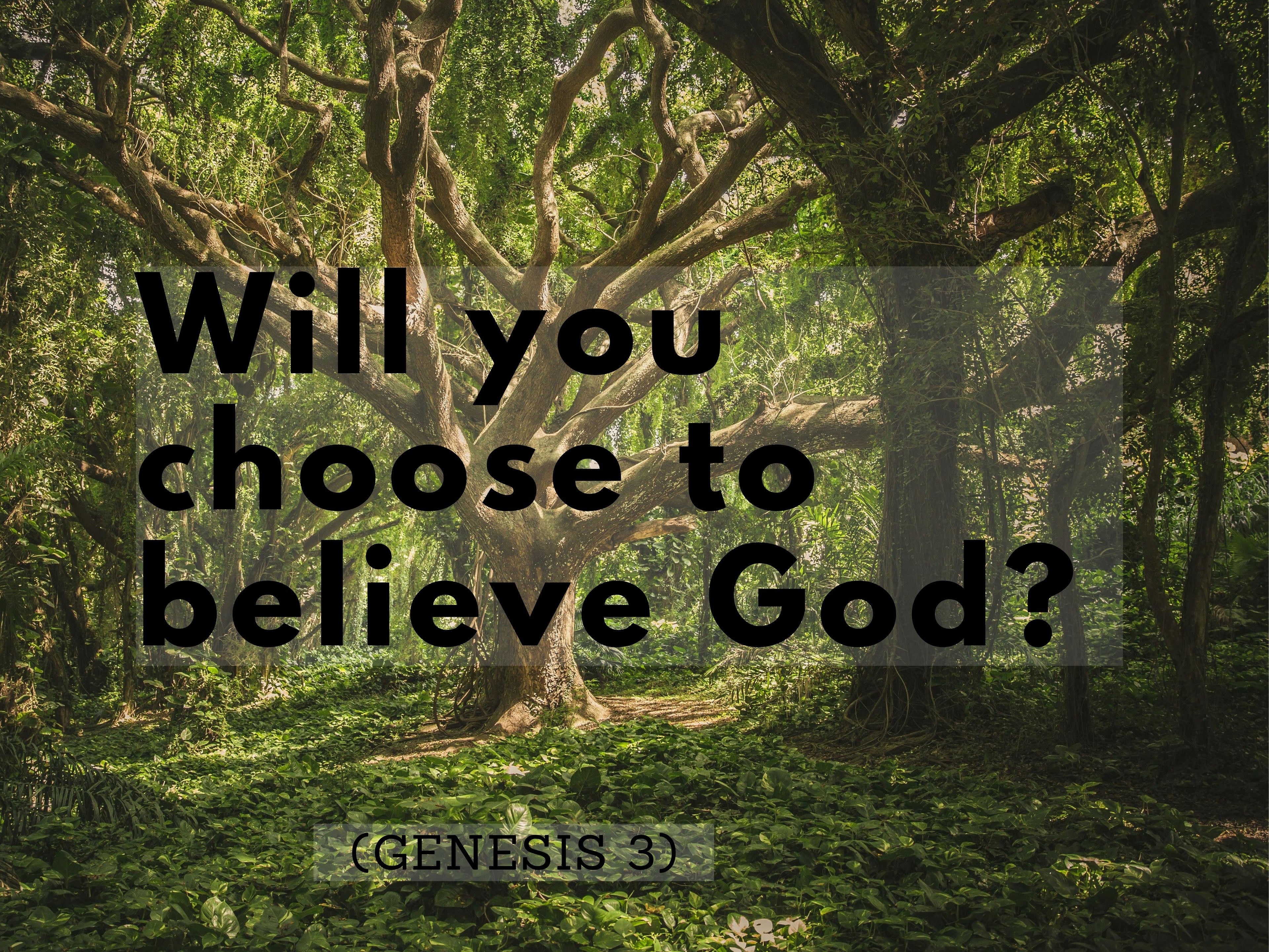 God vs.- Official R122