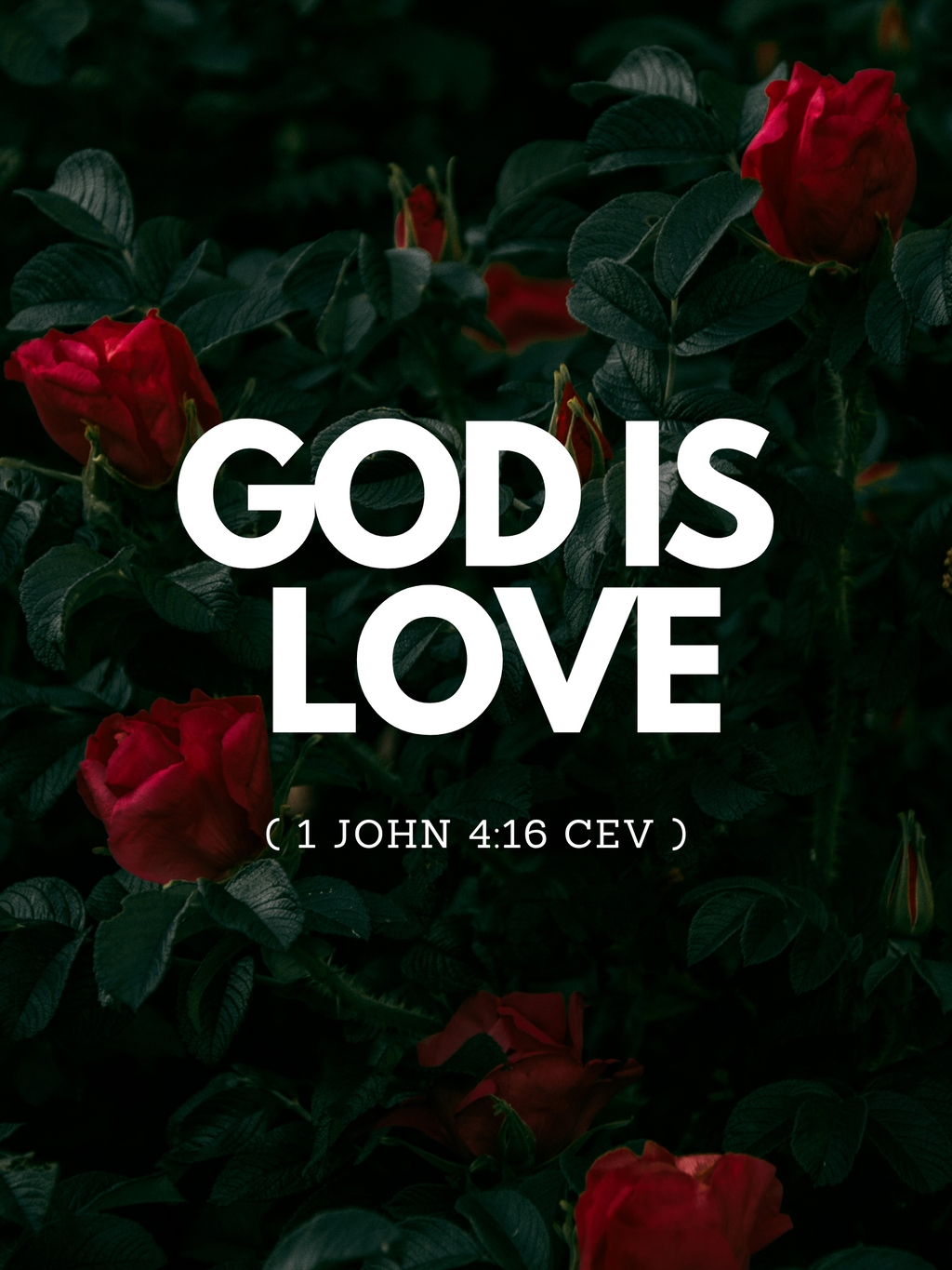 Love Is set 1 of 4 - Official R122