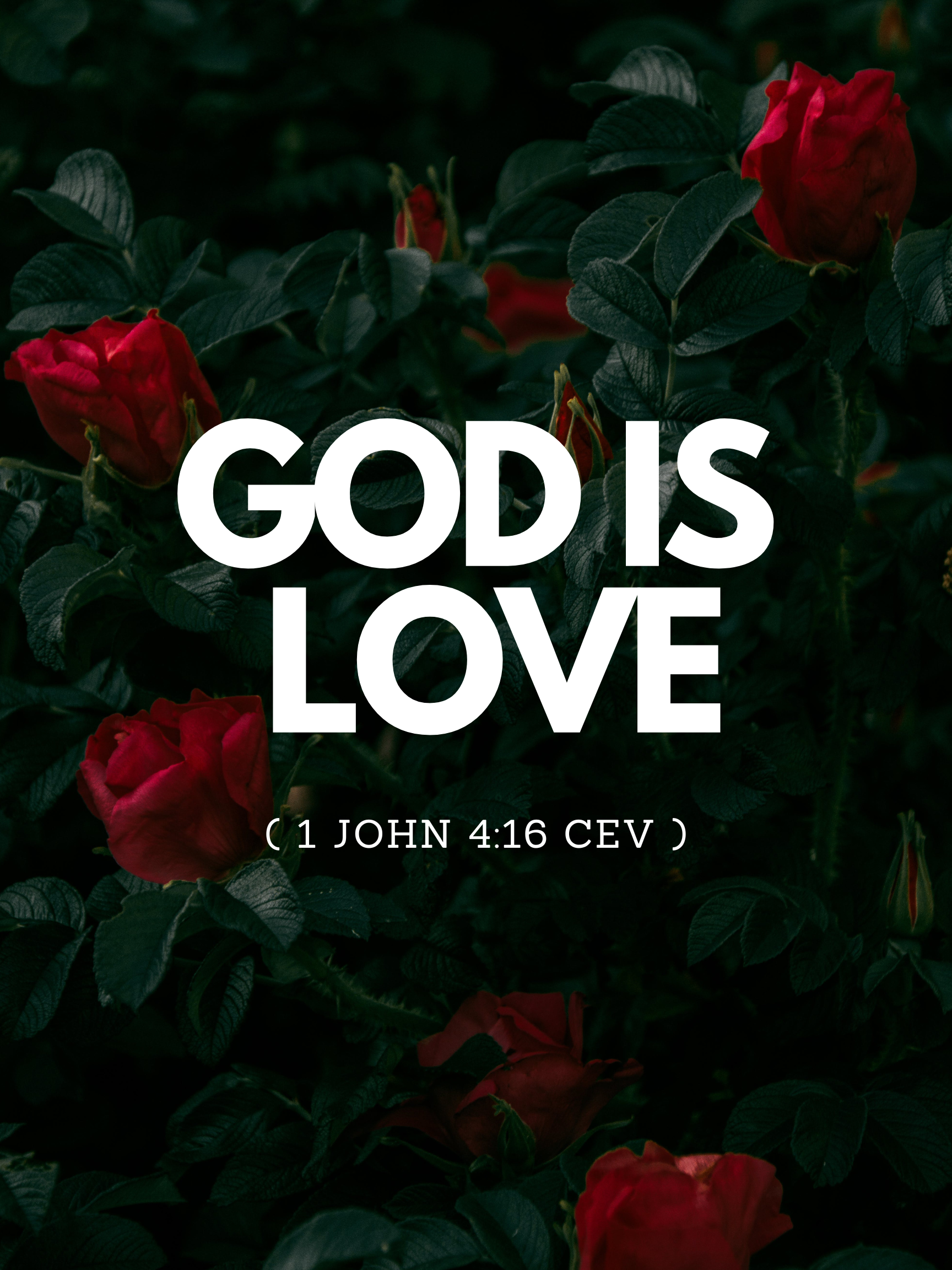 Love Is set 1 of 4 - Official R122