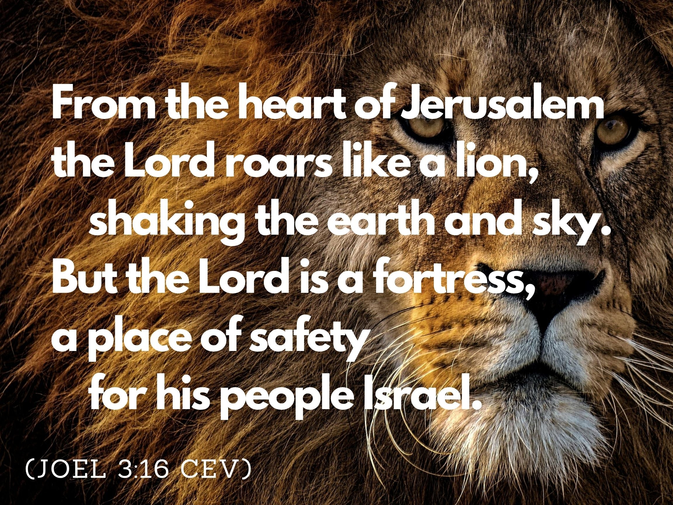 The Lord is a Lion - Official R122