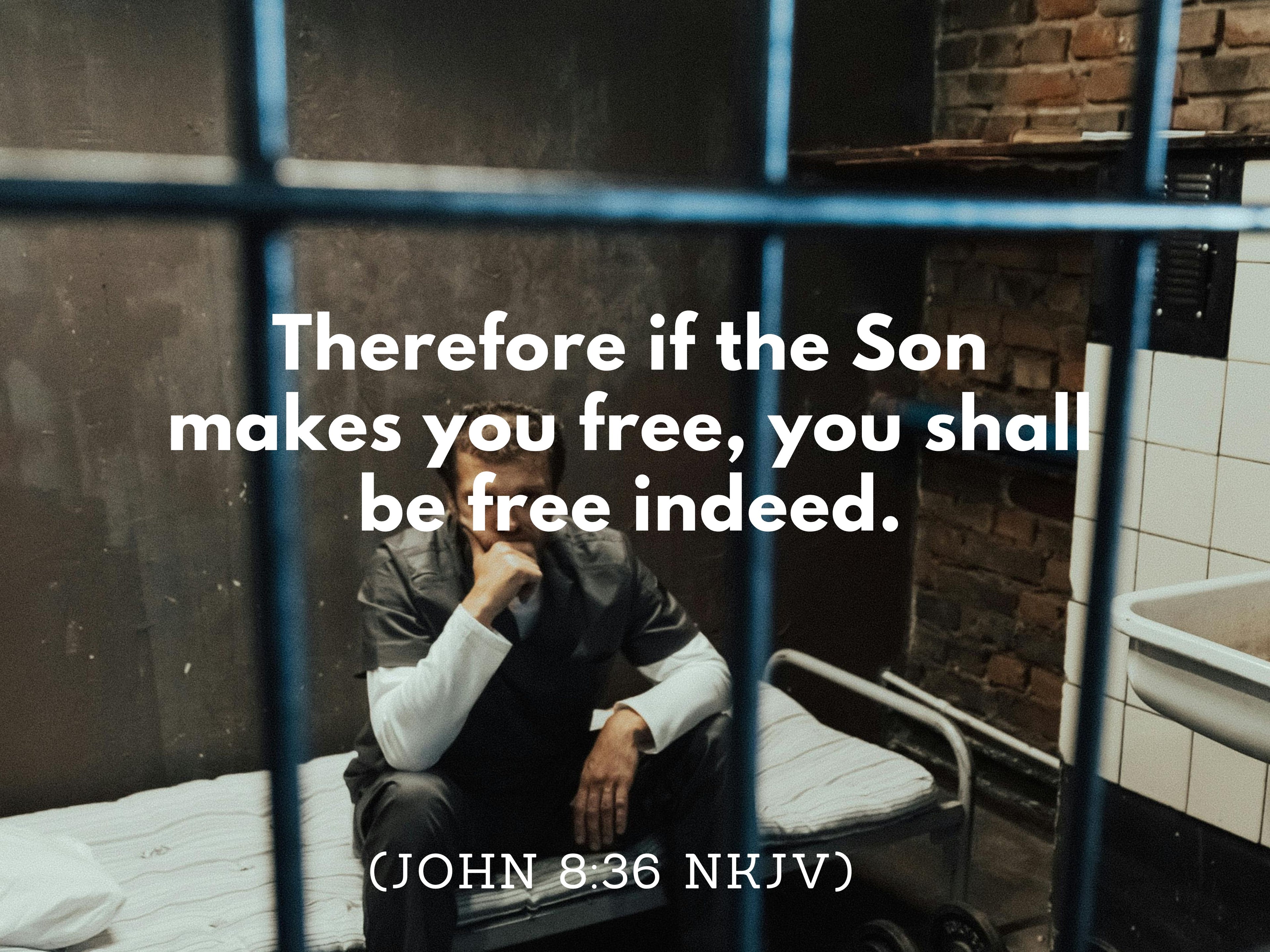 Who the Son sets free - Official R122