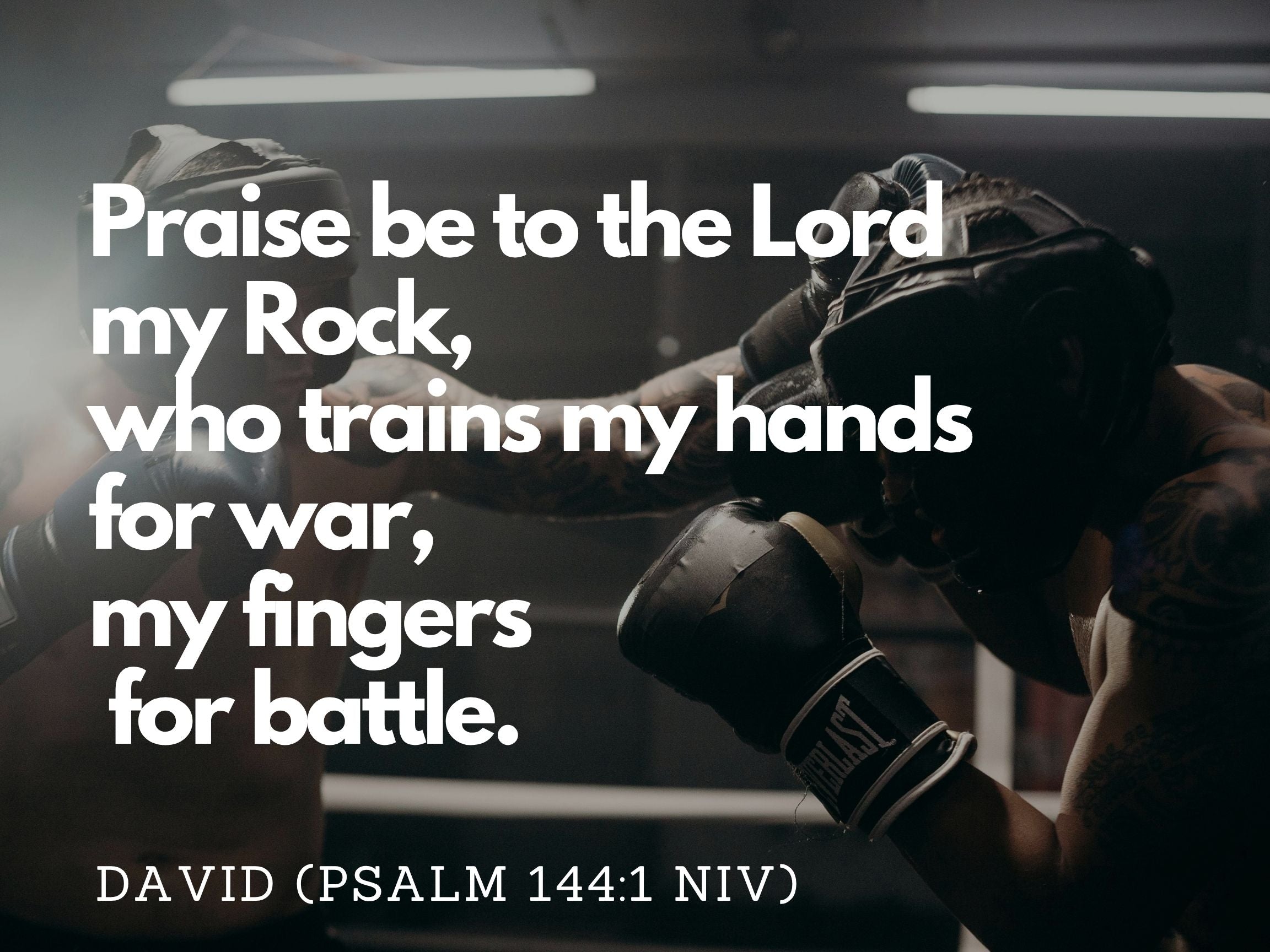 Trained to Fight - Official R122