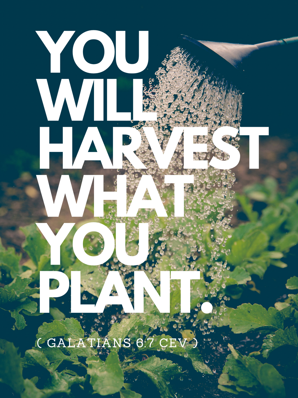 Reaping and Sowing - Official R122