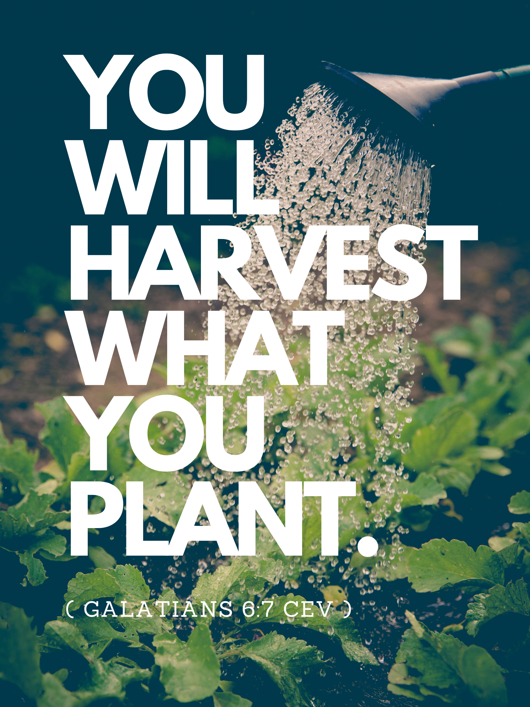 Reaping and Sowing - Official R122